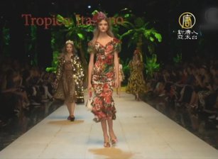 米蘭時裝周 D＆G吹熱帶度假風