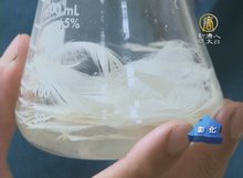 垃圾變黃金 羽毛溶解做肥料產量增10%