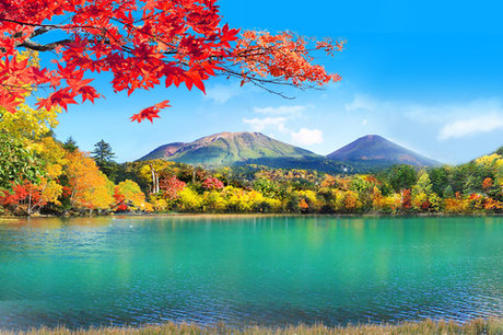 賞楓季又來了日本 韓國 加拿大賞楓去 新唐人亞太電視台