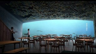 歐洲首間水下餐廳！海底美景搭美食超愜意