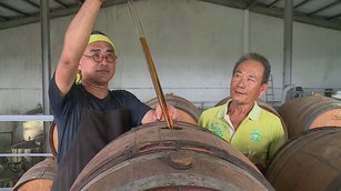 台灣「紅埔桃酒」一級棒 巴黎世界大賽奪金