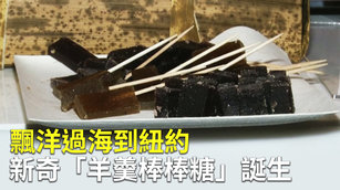 飄洋過海到紐約 新奇「羊羹棒棒糖」誕生