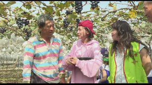 米可白化身葡萄大使 義賣葡萄助植物人