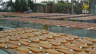 雲林冬季限定美景 曬烏魚子超壯觀