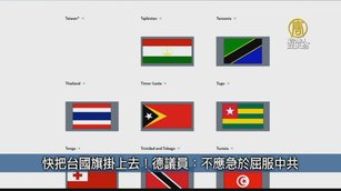 快把台國旗掛上去！德議員：不應急於屈服中共｜台灣速速看