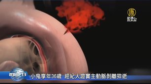 小鬼享年36歲 經紀人證實主動脈剝離猝逝