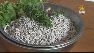 「虱目魚麵」新上市 嘉縣助業者解決產銷失衡