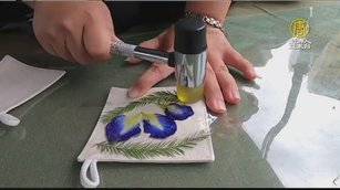 桃園農事體驗展 休閒農業區成績亮眼