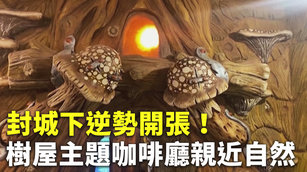 封城下逆勢開張！樹屋主題咖啡廳親近自然