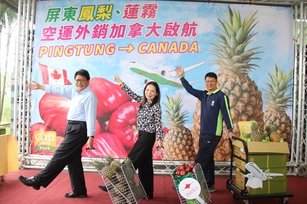 屏東蓮霧鳳梨空運外銷加拿大，預計將在加拿大掀起屏東果品風潮(屏東縣政府提供)