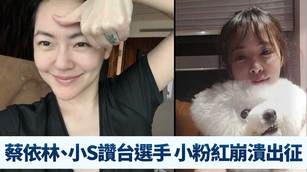 蔡依林、小S慘遭小粉紅出征 只因挺台國手.讚小戴