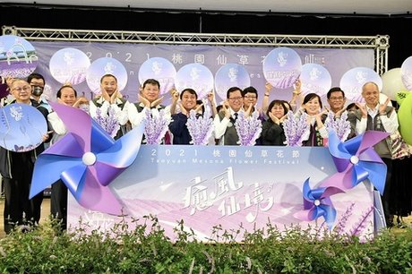 21桃園仙草花節 台版普羅旺斯 療癒身心 新唐人亞太電視台