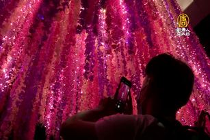 2021屏東聖誕節點燈 打造國境之南夢幻飄雪