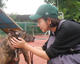 藝人米可白自從領養了4隻米克斯流浪犬後，開始長期投入流浪貓狗救援與送養，也擔任板橋收容所志工。（圖／米可白提供）