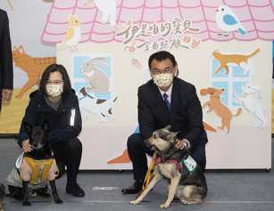 行政院農業委員會3日舉辦「寵物管理科動起來」啟動儀式，總統蔡英文（左）、農委會主委陳吉仲（右）在台上和毛小孩互動。（圖／中央社）