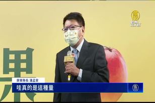 芒果季開跑！屏東縣攜手搖飲業者合作拚通路