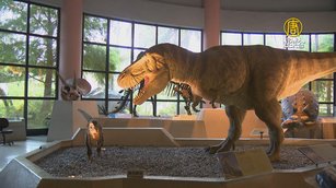 台中科博館推「夜探恐龍」暑期拚客源回流