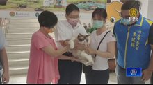 16品種貓咪抽籤認養 5百人家畜所排隊搶當主人