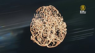 智慧科技展 友達群創端3D顯示屏.移動式X光