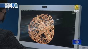 面板雙虎攻醫療面板 3D顯示、移動式X光應用