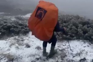 受東北季風影響，加上水氣偏多，雪山12日出現今年入冬以來第1場雪，陣陣雪花隨風飄落，覆蓋山徑， 宛如披上一層薄紗。 （圖／布農卡里布灣企業社協作提供）