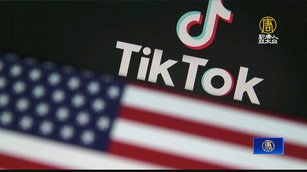 美眾院宣布：院內設備全面禁用TikTok