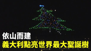 依山而建 義大利點亮世界最大聖誕樹
