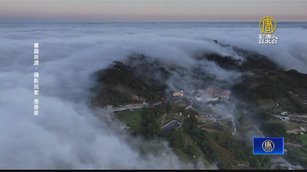 苗栗大湖薑麻園不只有雲海 還出現「雲瀑」