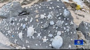 小琉球新打卡景點 遊客用石頭黏出滿滿小海龜