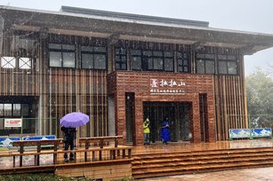 桃園市拉拉山巨木區24日因為低溫下起冰霰，吸引遊客目光。（圖／桃園市觀旅局提供）