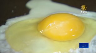 不一定要吃蛋！豆類、海鮮都可補充蛋白質