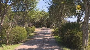 現代愚公！八旬志工花廿年 打造五酒桶山步道