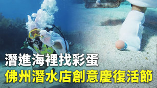 潛進海裡找彩蛋 佛州潛水店創意慶復活節