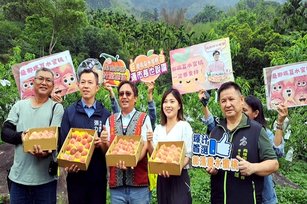 那瑪夏賞螢倒數計時 雄甜水蜜桃季接棒登場。(圖／葉子棻)