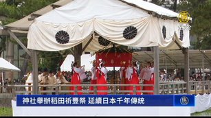 神社舉辦稻田祈豐祭 延續日本千年傳統
