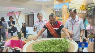 全台東方美人茶評鑑 桃園青農拿下特等獎