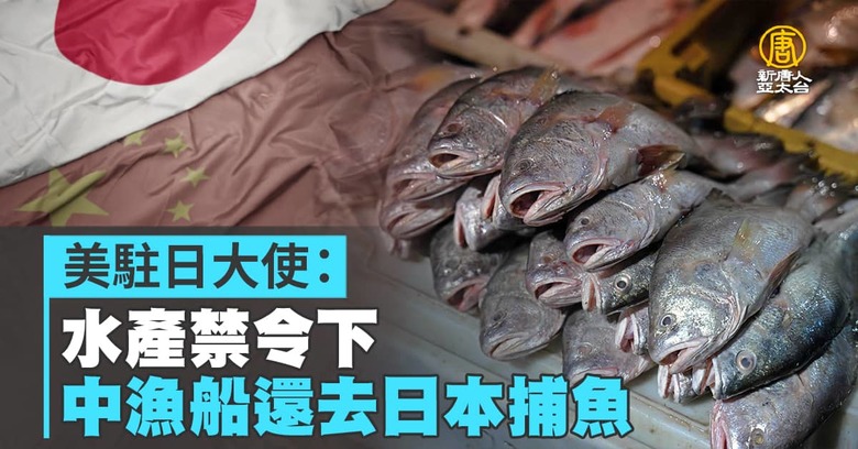 美駐日大使：水產禁令下中漁船還去日本捕魚- 新唐人亞太電視台