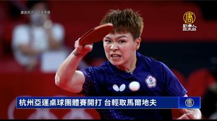 杭州亞運桌球團體賽開打 台輕取馬爾地夫