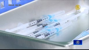 莫德納XBB.1.5疫苗開打 首批65歲以上長者優先