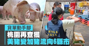 貨單動手腳 桃園再查獲美豬變加豬流向6縣市