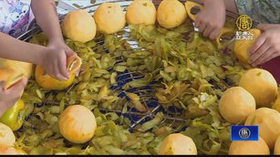 新埔柿餅節 推親子手作DIY體驗食農教育