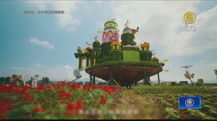 台中花毯節攜手新社花海 11月11日繽紛登場