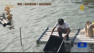 2023青年創新創意影展 紀錄片《問天》奪三大獎