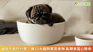 許多民眾有喝咖啡的習慣，然而這對我們而言再平凡不過的飲品，若不慎被貓狗誤食，卻可能帶來相當致命的後果。（圖／NOW健康製作；圖片來源／ingimage）