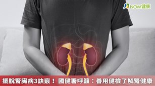 國健署有免費提供40至64歲民眾每3年1次、65 歲以上民眾每年1次之成人預防保健服務，項目中包含尿蛋白檢測及腎絲球過濾率計算，可以幫助民眾早期發現慢性腎臟疾病。（圖／NOW健康製作；圖片來源／ingimage）