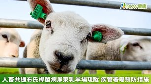 人畜共通布氏桿菌病屏東乳羊場現蹤 疾管署曝預防措施(首圖來源／ingimage)