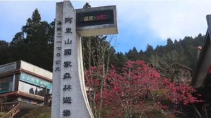 冷氣團來襲山區急凍 阿里山遊樂區出現冰霜奇景（蘇家弘提供）