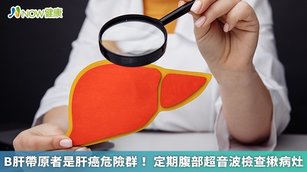 B肝帶原者是肝癌危險群！定期腹部超音波檢查揪病灶(首圖來源／Freepik)