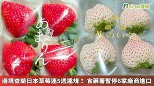 邊境查驗日本草莓連5週違規！食藥署暫停6家廠商進口(首圖來源／食藥署提供)