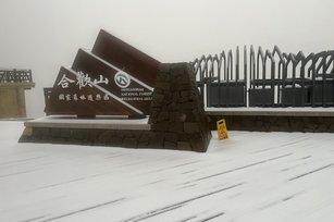 合歡山於今天凌晨3點多時降雨(雪)夾冰霰，請上山賞雪遊客注意安全及交通資訊。（林業保育署南投分署提供）